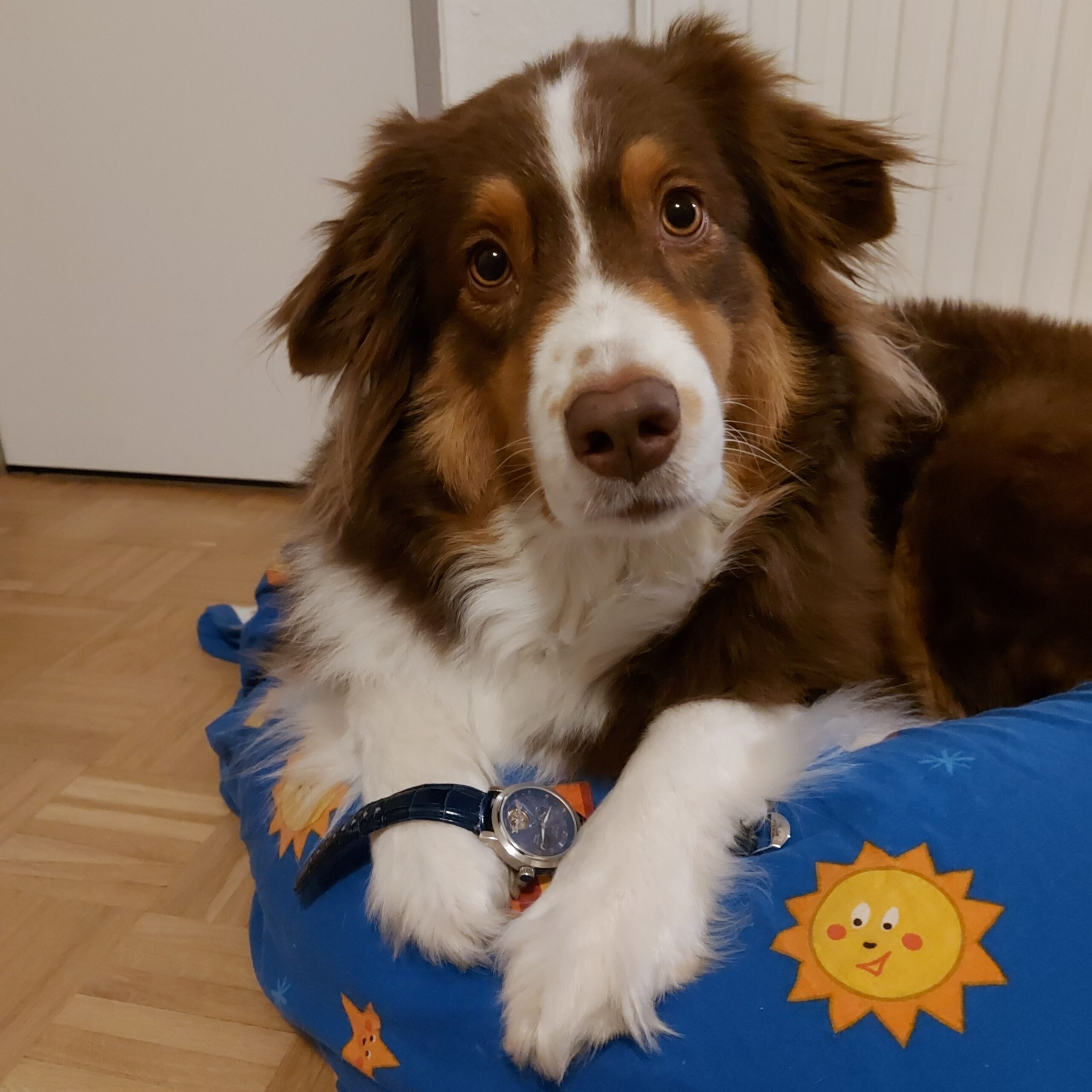 Suki mit Uhr