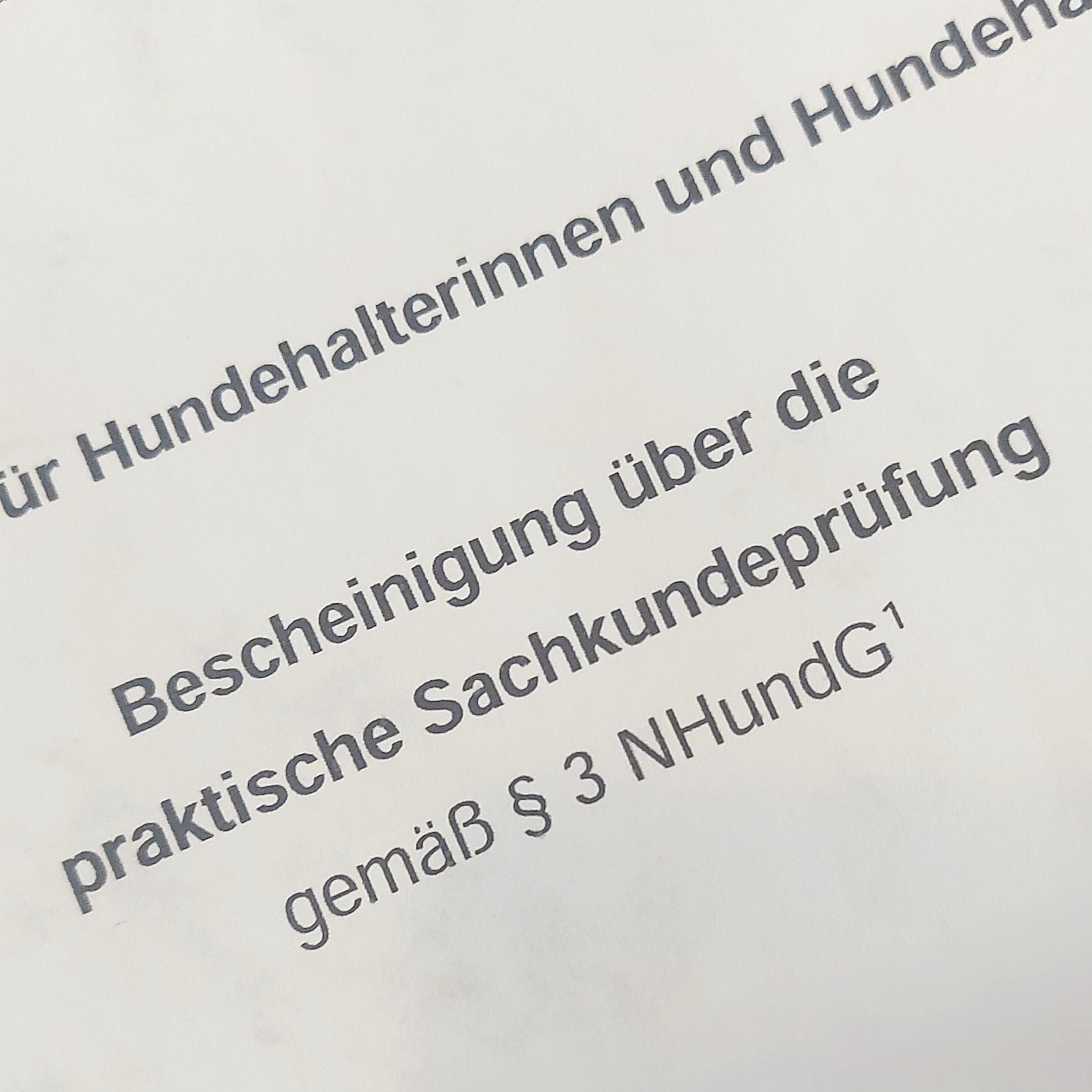 Hundeführerschein